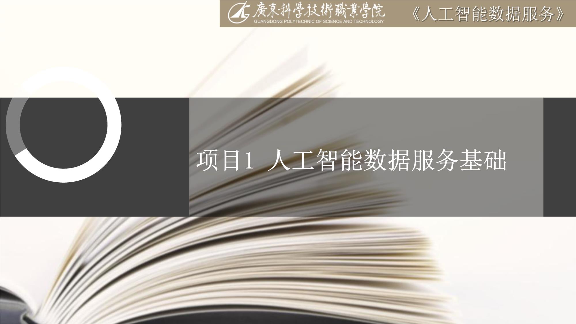 人工智能數(shù)據(jù)服務(wù)基礎(chǔ) 數(shù)據(jù)處理與數(shù)據(jù)處理服務(wù)